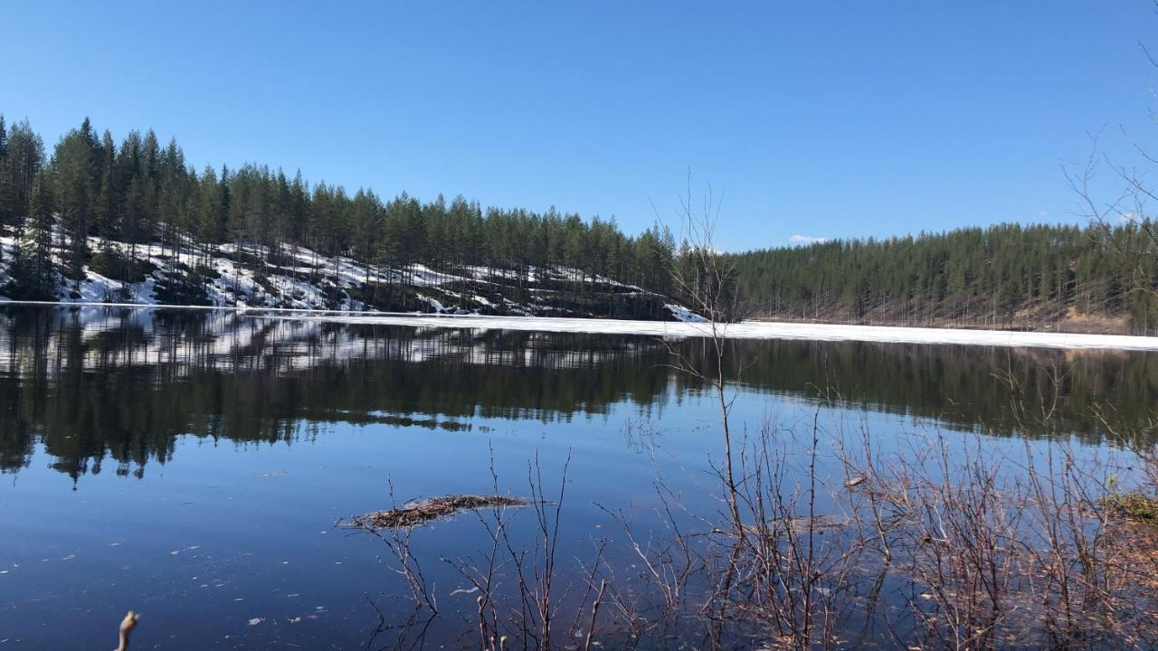 Syoete Huuhkamajat Cottage Экстерьер фото